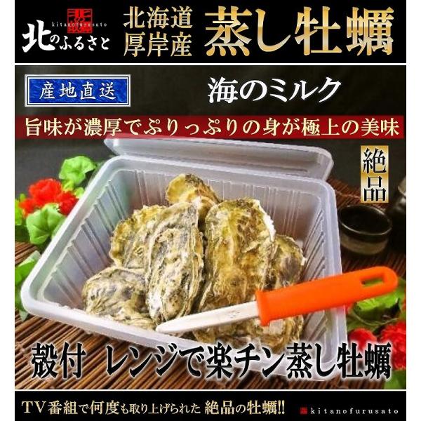 kC ݎY  y 2pbN Zbg (1pbN LTCY×7) JLiCt Rt Yn y JL  y y L  JC Ε 