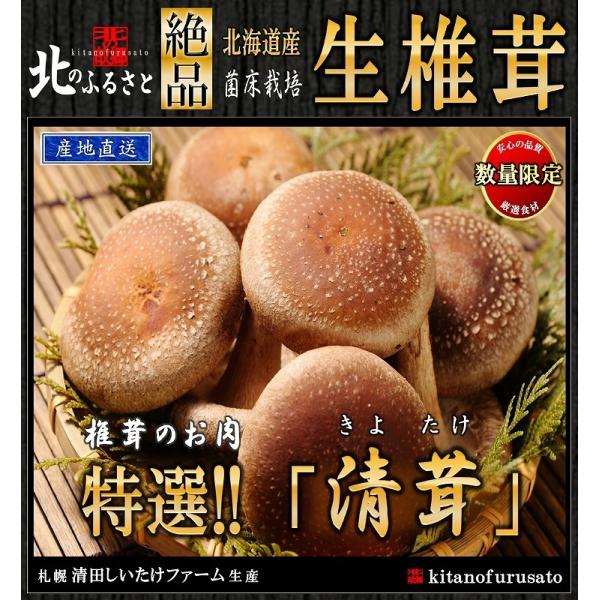 生 椎茸 肉厚な高級 清茸 Lサイズ 8玉 × 2パック 産地直送 北海道 札幌