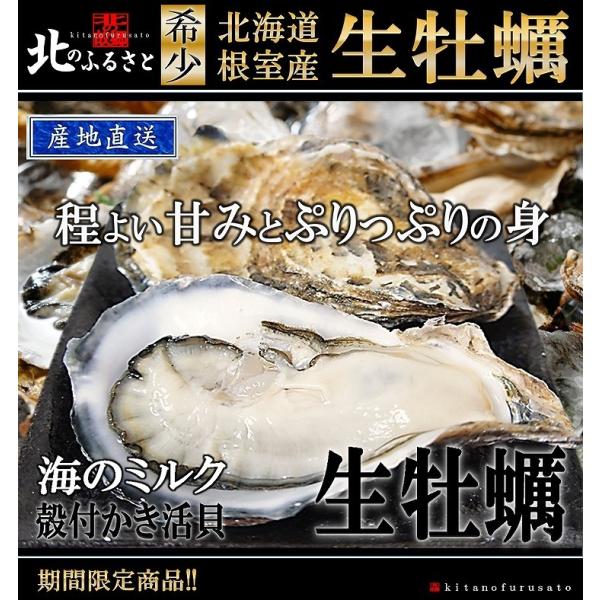 北海道根室産 温根沼産 殻付き生牡蠣 Mサイズ 10個 1ｇ未満 カキナイフ付 カキ 生牡蠣 殻付 ギフト 贈答品 大サイズ Buyee Buyee Japanese Proxy Service Buy From Japan Bot Online