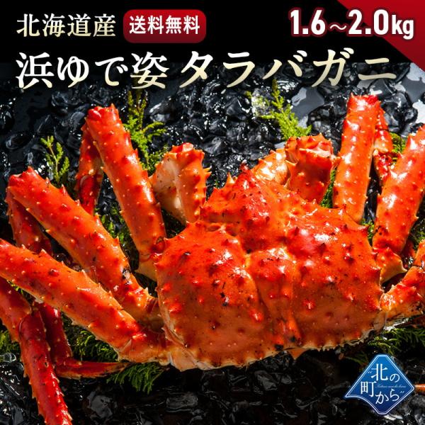 タラバガニ 北海道・オホーツク海産 【浜茹で急速冷凍 姿】 1.6kg〜2.0kg 栄養価の高い身の引き締まったタラバガニ たらばがに 蟹 カニ かに