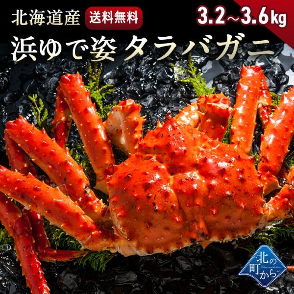 タラバガニ 北海道・オホーツク海産 【浜茹で急速冷凍 姿】 3.2kg〜3.6kg 栄養価の高い身の引き締まったタラバガニ たらばがに 蟹 カニ かに
