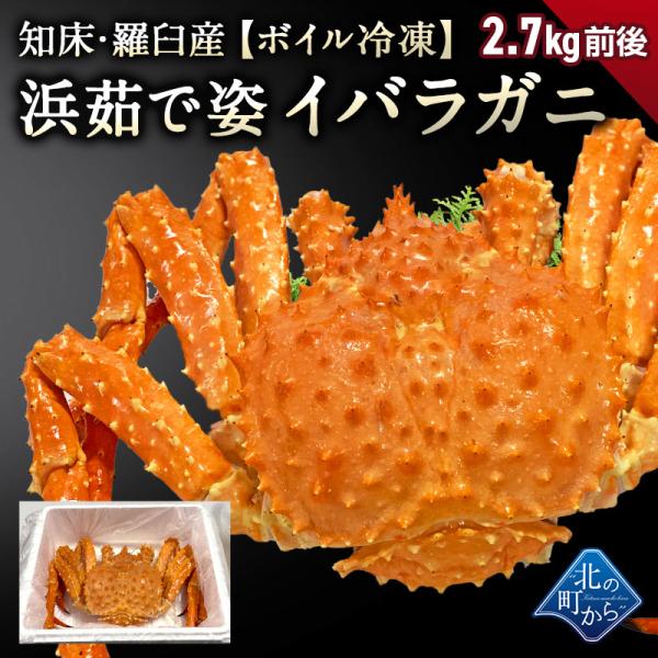 タラバガニより味が濃いと評判の知床・羅臼産 イバラガニ 入荷数極小！ 【浜茹で急速冷凍 姿】 2.7kg前後【12/20より順次発送】