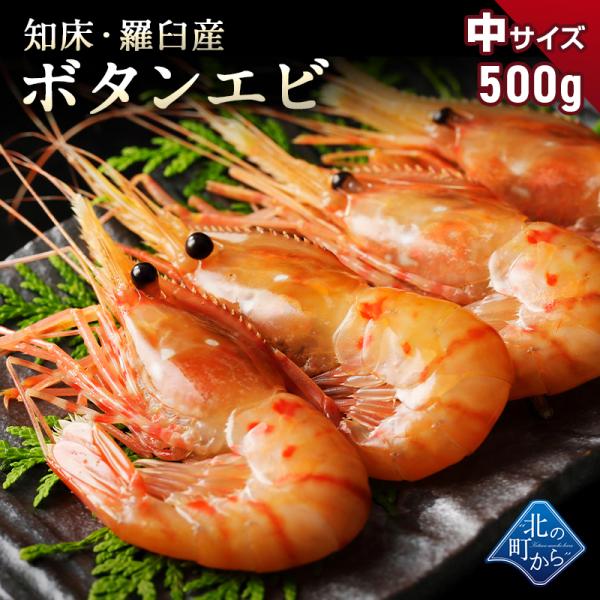 北海道 知床・羅臼産 ボタンエビ 中500g 目安18尾前後 牡丹海老 ぼたん海老 ボタン海老 刺身 冷凍 贈り物 ギフト お歳暮 冬ギフト プレゼント お取り寄せ グルメ