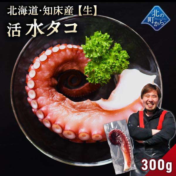 ミズダコ 知床産 水タコ生300g 生食も可能で刺身にするととても美味しいです！ タコ ミズタコ 蛸 たこ みずだこ タコ