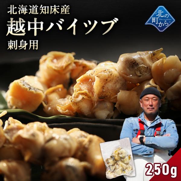 北海道知床産 越中バイツブ 刺身用250g ツブ つぶ ツブ貝 つぶ貝 粒貝 バイツブ 生食用 刺身 海鮮 お取り寄せ 国産 産地直送