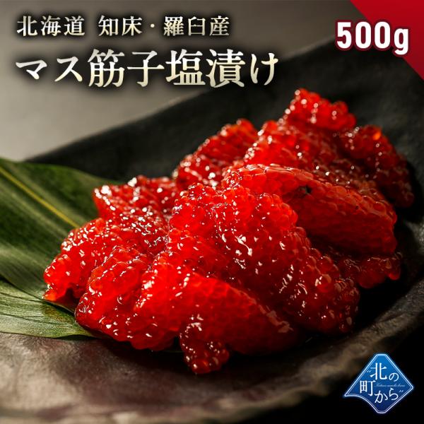 【マス筋子 塩漬け 500g 知床・羅臼産】鱒 マス筋子 塩漬け 500g 熟成されたコクや旨味！ すじこ スジコ