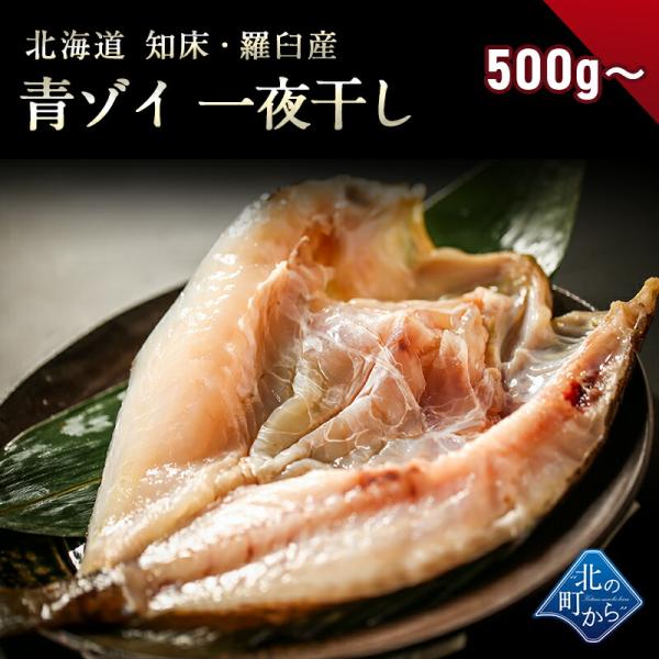 青ゾイ 知床・羅臼産 一夜干し 500g〜 大型になるほど脂がのって美味しい！ ソイ アオゾイ そい 青ぞい クロメヌケ