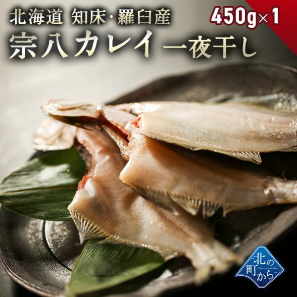 宗八カレイ一夜干し 知床・羅臼産 2枚入(450g前後) そうはちがれい カレイ かれい