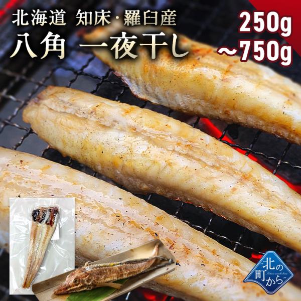 リピーター多数！旨みある脂がたっぷり乗った、やわらかな白身の高級魚！様々な料理で美味しさを発揮する、知る人ぞ知る流通希少魚！