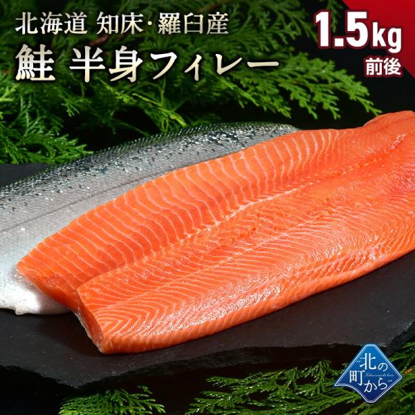 鮭 知床・羅臼産 鮭半身フィレー 1.3kg〜1.6kg 脂ものっており、クセが少なくとろっとして濃厚で甘みのある味です！