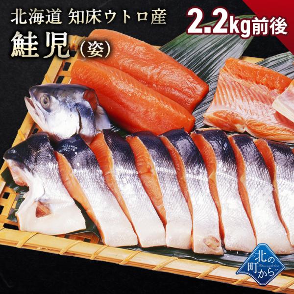 幻の鮭 鮭児 2.2kg前後 姿 北海道 知床ウトロ産 けいじ ケイジ 高級魚
