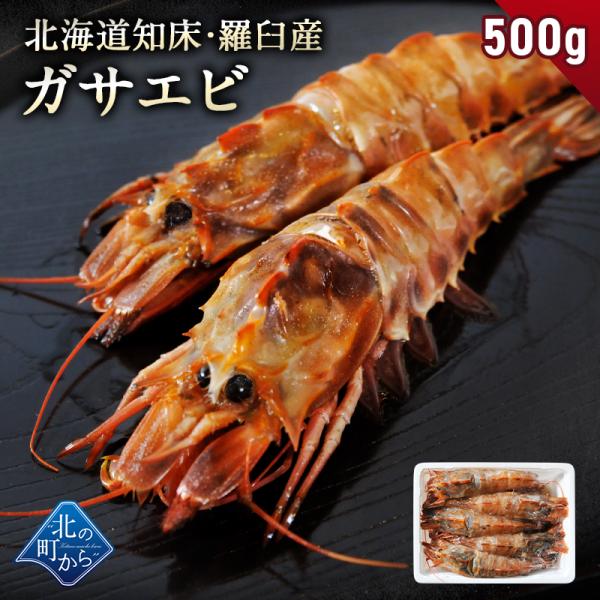 北海道 知床・羅臼産 ガサエビ 500g ダイオウキジンエビ 魚貝 えび エビ 海老 冷凍 希少品 国産 産地直送 お取り寄せ グルメ 焼きエビ 海鮮鍋 味噌汁