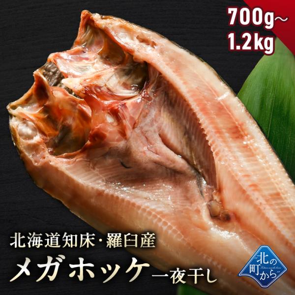 北海道 知床・羅臼産 メガホッケ 一夜干し 750g〜1.2kg ほっけ ホッケ 真ほっけ 羅臼ホッケ お取り寄せ グルメ バーベキュー BBQ  国産 特大 超特大 メガサイズ