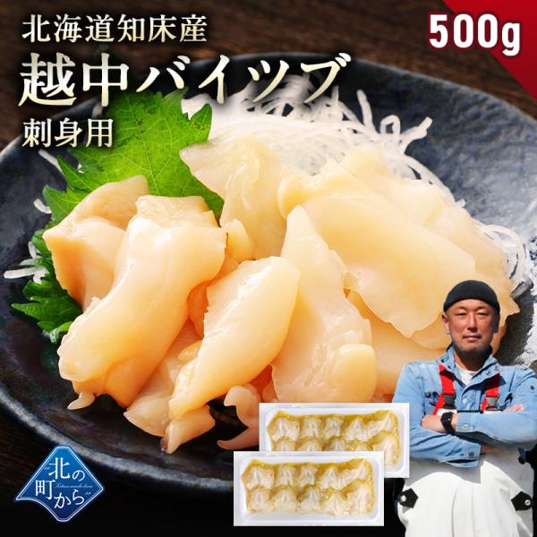 北海道知床産 越中バイツブ 開き 刺身用 500g(250g×2) つぶ ツブ貝 つぶ貝 粒貝 バイツブ 生食用 刺身 海鮮 お取り寄せ 国産 産地直送