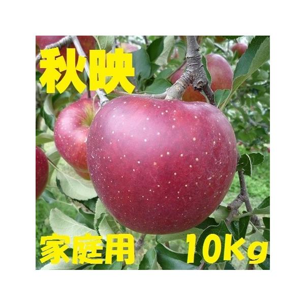 【8月23日から予約販売開始！１０月上旬頃から順次発送！】長野産　秋映　家庭用　約10kg　24玉〜40玉　産地直送 減農薬栽培