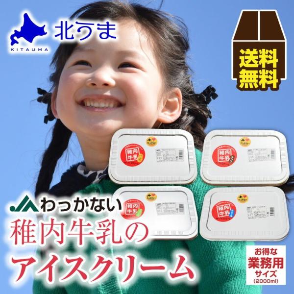 アイスクリーム ギフト たっぷり 業務用 00ml Sagaretxe Net