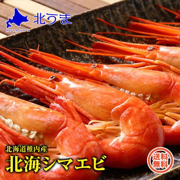 受賞店 北海 ボイル シマエビ L-2L 500g しまえび しまエビ 送料無料 沖縄送料別途加算 御中元 お中元 夏休み バーベキュー キャンプ 北海 ボイル シマエビ L-2L 500g×2 しまえび しまエビ 送料無料 沖縄送料別途加算 御中元 お中元 夏休み バーベキュー キャンプ