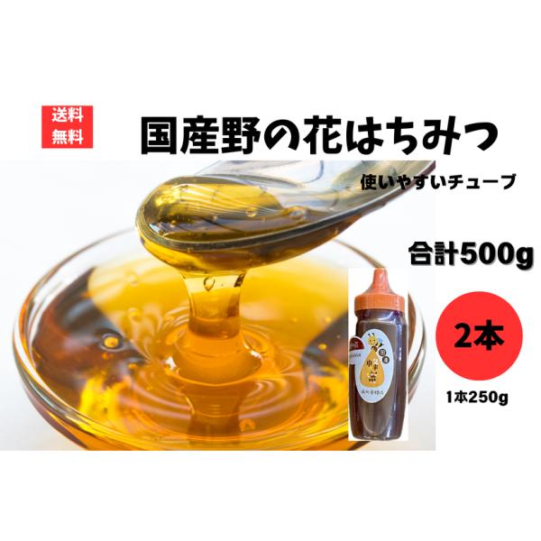 南川養蜂場はちみつ 国産 野の花 250g2本 合計500g 志布志市 鹿児島 蜂蜜 ハチミツ レターパック