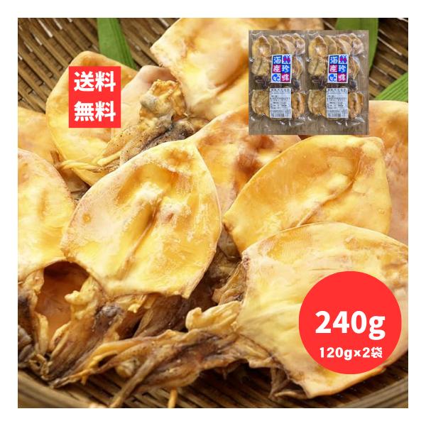 剣先するめ 100g 1袋 おつまみ・酒の肴に最適 珍味 スルメ けんさき いか イカ ポスト投函