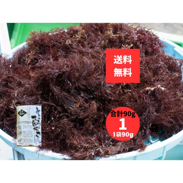 ところてんぐさ 長崎県産 天草 90g1袋 合計90g 国産 天然 てんぐさ ところてんの素 手作り用 無添加 食物繊維