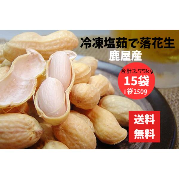 塩ゆで落花生 250g 15袋 3.75kg 冷凍 鹿児島県産 三和物産 鹿屋産 茹で落花生 国産 おつまみ ピーナツ