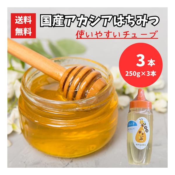 南川さんのはちみつ 国産 アカシア チューブ 250g 3本 合計750g 蜂蜜ハチミツ あかしあ 南川養蜂場 レターパック配送