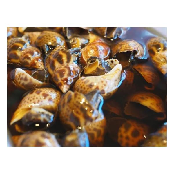 志布志湾産の黒バイ貝は高級品として料亭で食されることが多い、貴重な貝です。おつまみや小鉢に最適なバイ貝は、居酒屋の突き出しでもよく見かけます。解凍後、爪楊枝で簡単に食べられるので手軽さも魅力のひとつです！高タンパクで低脂肪なことはもちろん、...