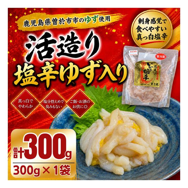 活造りいか塩辛 ゆず入り 袋入り 300g×1袋 合計300g まるでイカ刺し 刺身感覚 塩分控えめ 鹿児島県産ゆず使用 志布志市 自社工場製造 ご飯のお供 おつまみ