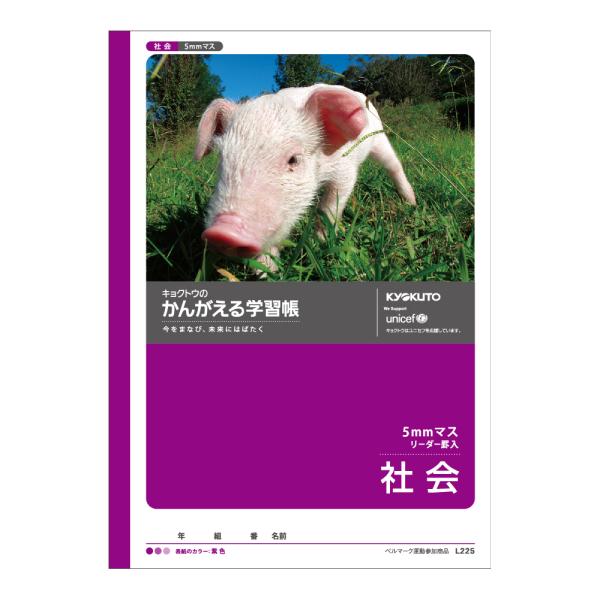 日本ノート キョクトウ かんがえる学習帳 社会 5mm 5ミリマスリーダー L225 ノート 学習帳 社会 KYOKUTO 学校 夏休み 冬休み 自由研究