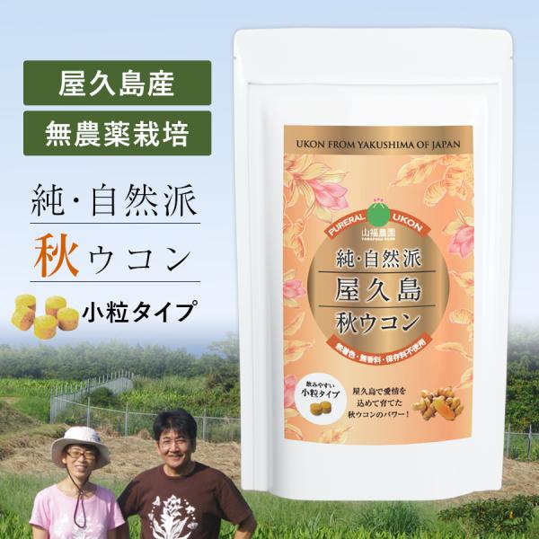 屋久島 秋ウコン 3袋セット 1800粒(6ヶ月分) 無添加（無着色 無香料 保存料不使用）無農薬 ウコン サプリ 小粒 サプリメント 山福農園 飲みやすい クルクミン