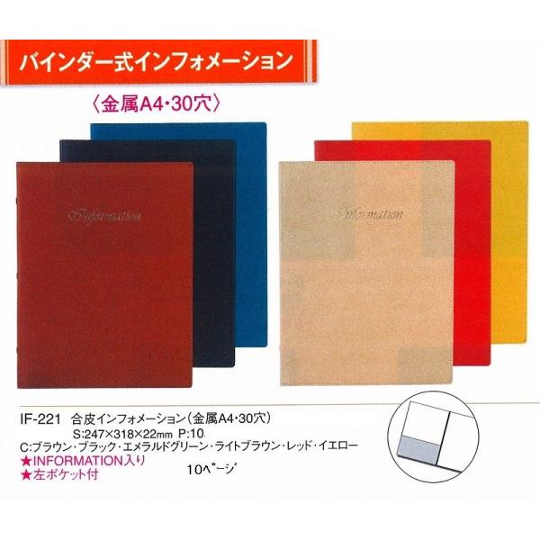 oC_[CtH[VubN@@IF-221@iA4E30jCguE iށj