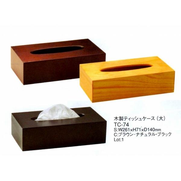 AjeB[@ؐeBbVP[Xij@TC-74@uE@