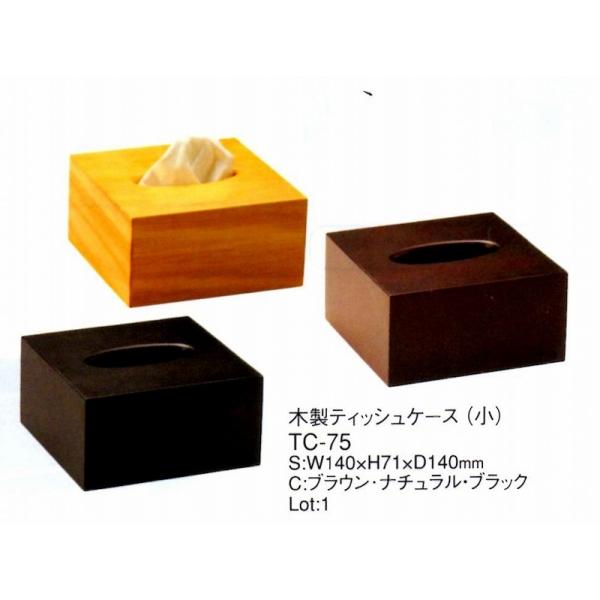 AjeB[@ؐeBbVP[Xij@TC-75@ubN@