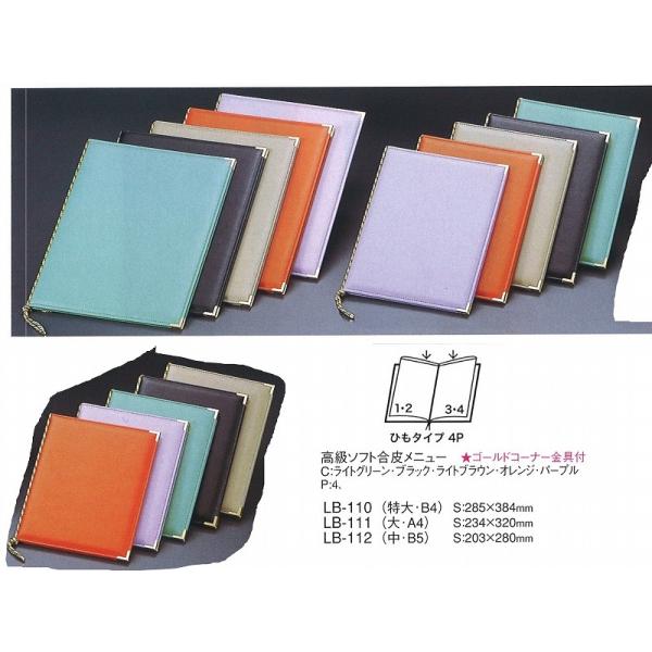 j[ubN@LB-110@\tg烁j[ubNiEB4)  ubN iށj