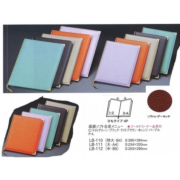 j[ubN@LB-111@\tg烁j[ubNiEA4) @IW iށj