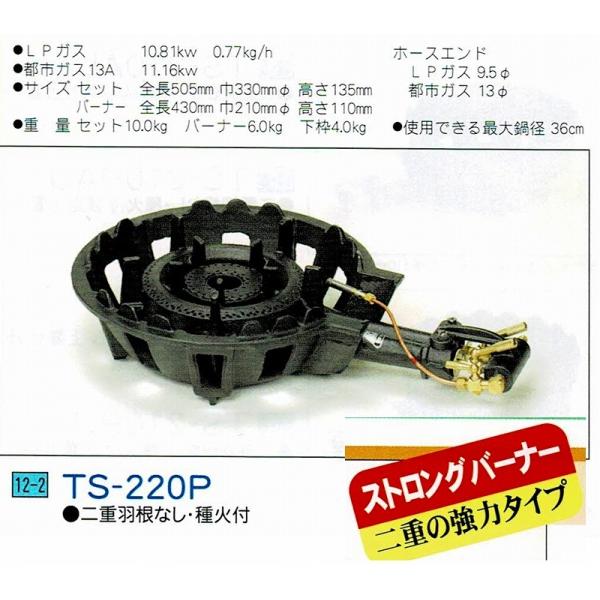 ^`oi KXo[i[@@JIAF؁@R@TS-220PidHtAΕtj@LPKXEssKXPQA.13Ap