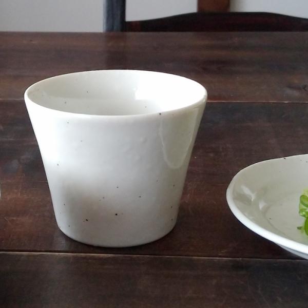 ΗpH Β  ΂傱   XC[cJbv aH Z