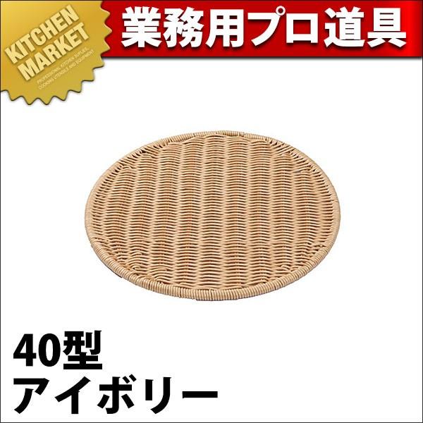 �p���g���[ �ی^40�^ �A�C�{���[BB-607-IV (N)�ikm�j