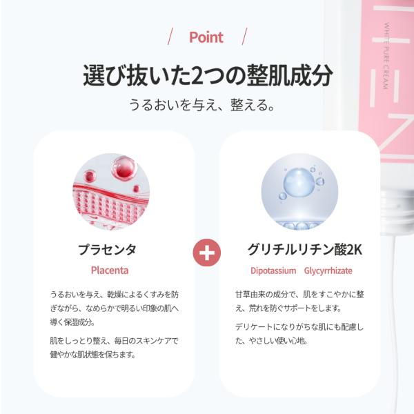 kitenshop_k003_2_d_20260305105432