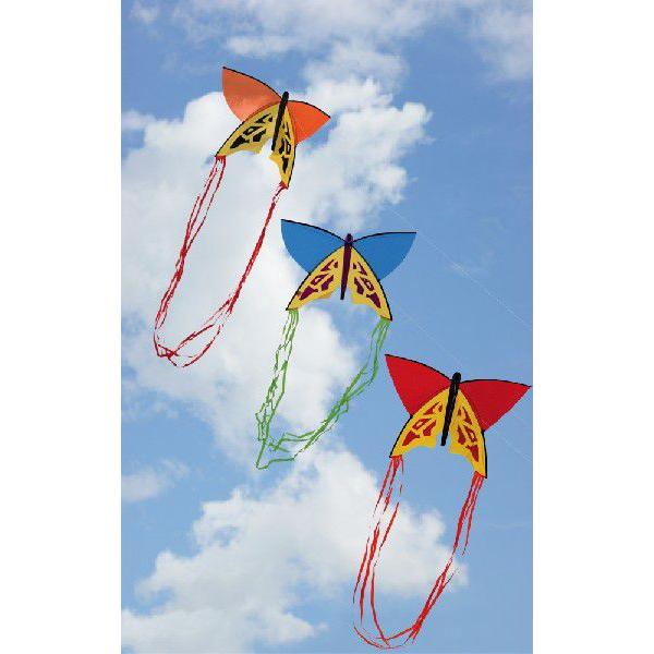 組立て式のKITEです約60cm×40cmの大きさで2.0mのテール(尻尾)がついて優雅にヒラヒラと飛びますKITEライン60mもセットになってケースから出したら直ぐに飛ばせます