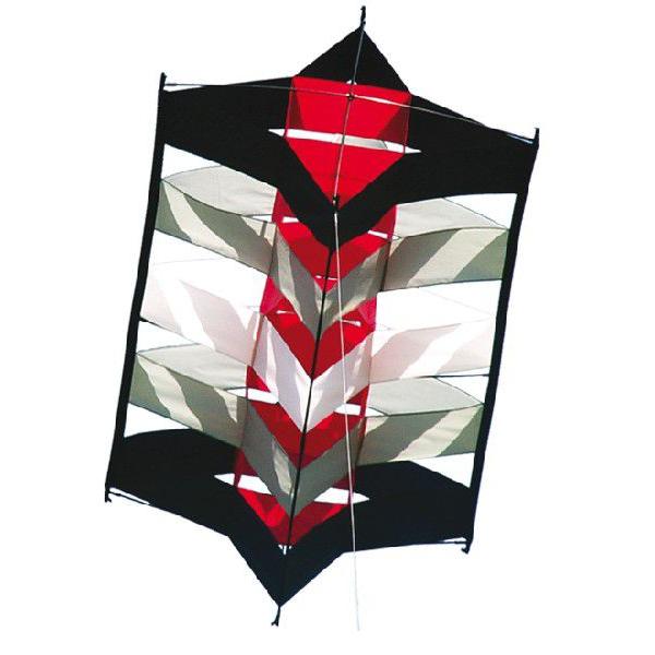 “簡単組立”３Ｄスーパーカイトですケースから出して簡単組立て、直ぐに飛ばせます