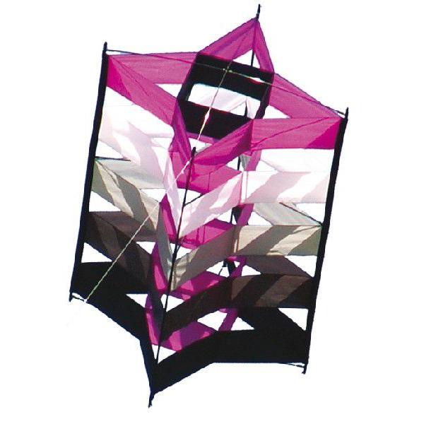 “簡単組立”３Ｄスーパーカイトですケースから出して簡単組立て、直ぐに飛ばせます