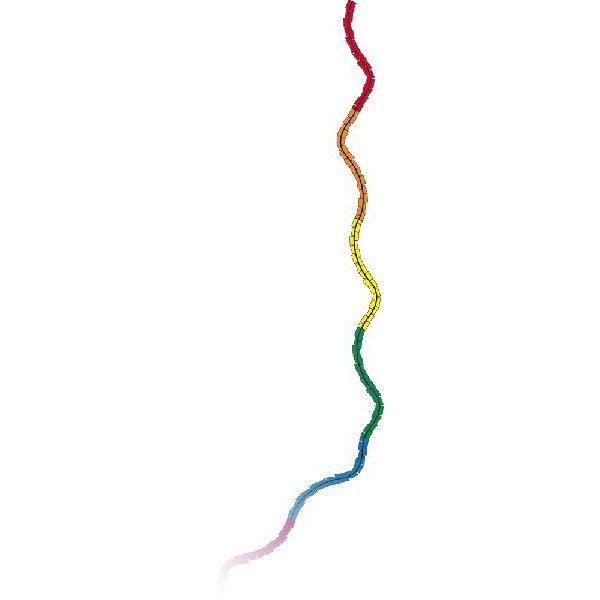 17mの長いテール(尻尾)ですKITE&amp;ラインに付けて飛ばします　ヒラヒラとてもカラフルで綺麗ですよ