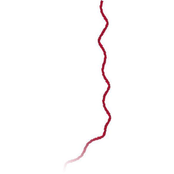 17mの長いテール(尻尾)ですKITE&amp;ラインに付けて飛ばします　ヒラヒラとてもカラフルで綺麗ですよ