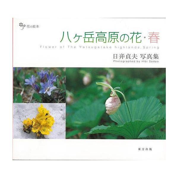 花 写真 家の人気商品 通販 価格比較 価格 Com