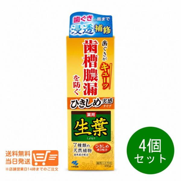 小林製薬 ひきしめ生葉 100g 歯磨き粉 歯周病 口臭予防ハミガキ オーラルケア 4個セット 爆買