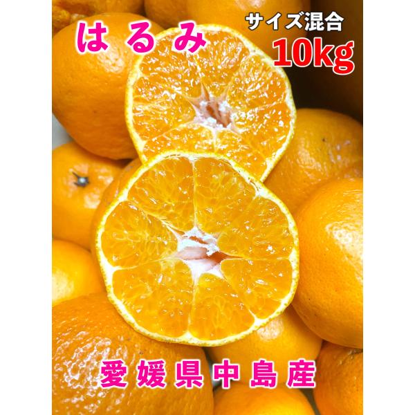 はるみ みかん 10kg 愛媛県中島産 家庭用 : 島馬ファーム瀬戸内 - 通販