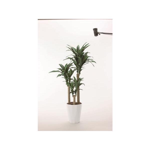 ylHϗtAzyK̖؁zy1.6zyG}HzyzytFCNO[zyK̖1.6zysz