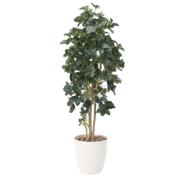 ylHϗtAzyVFt1.8zy1.8zyG}HzyzytFCNO[zysz