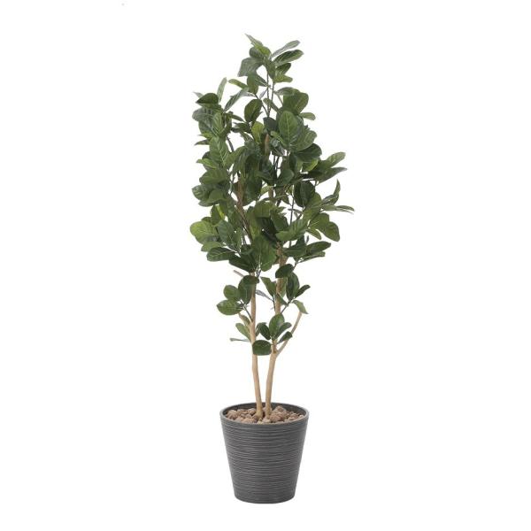 �y�l�H�ϗt�A���z�y�p���̖�1.6�z�y1.6���z�y���G�}���H�z�y���������z�y�t�F�C�N�O���[���z�y������s�z